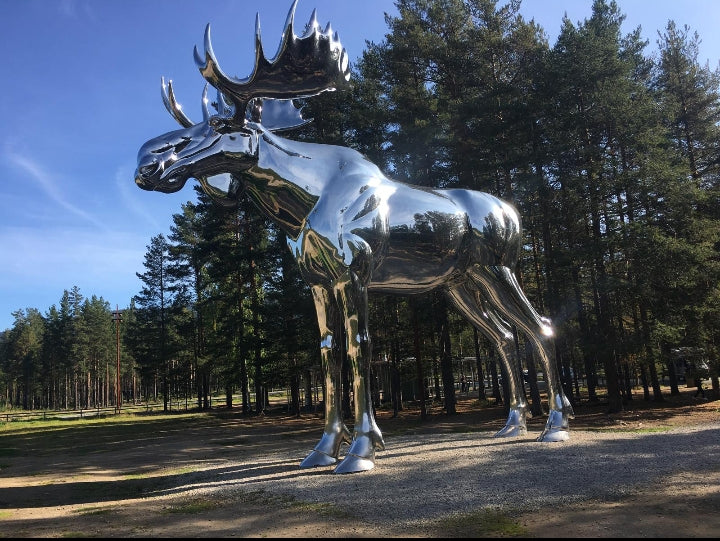 The Moose Digital Image - Book Covers / Calendars / Posters / Wallpaper