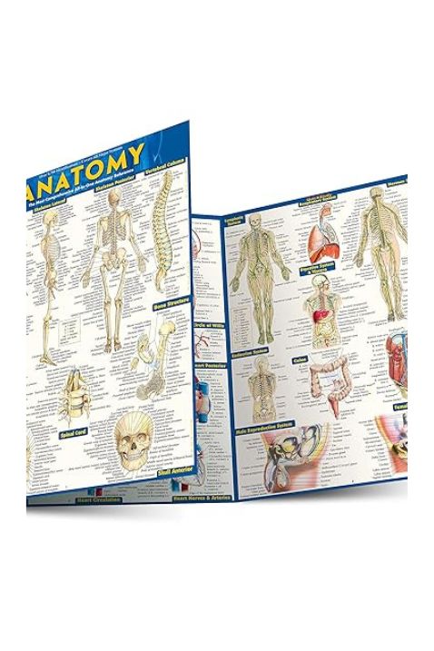 "Anatomy - Reference Guide: a QuickStudy reference tool", Pamphlet by Vincent Perez
