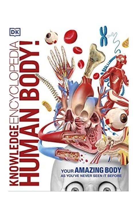 "Knowledge Encyclopedia Human Body!", Hardcover by DK